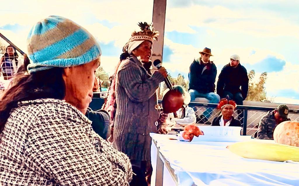 WhatsApp Image 2022 05 21 at 12.27.03